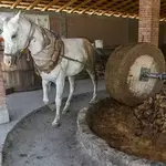 Santiago Matatlan