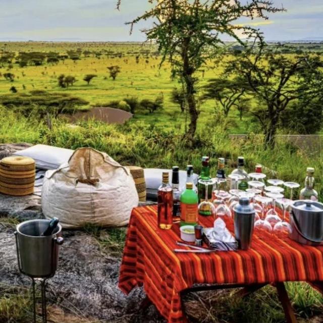 Luxury Safari Picnic / Picnic de lujo durante safari