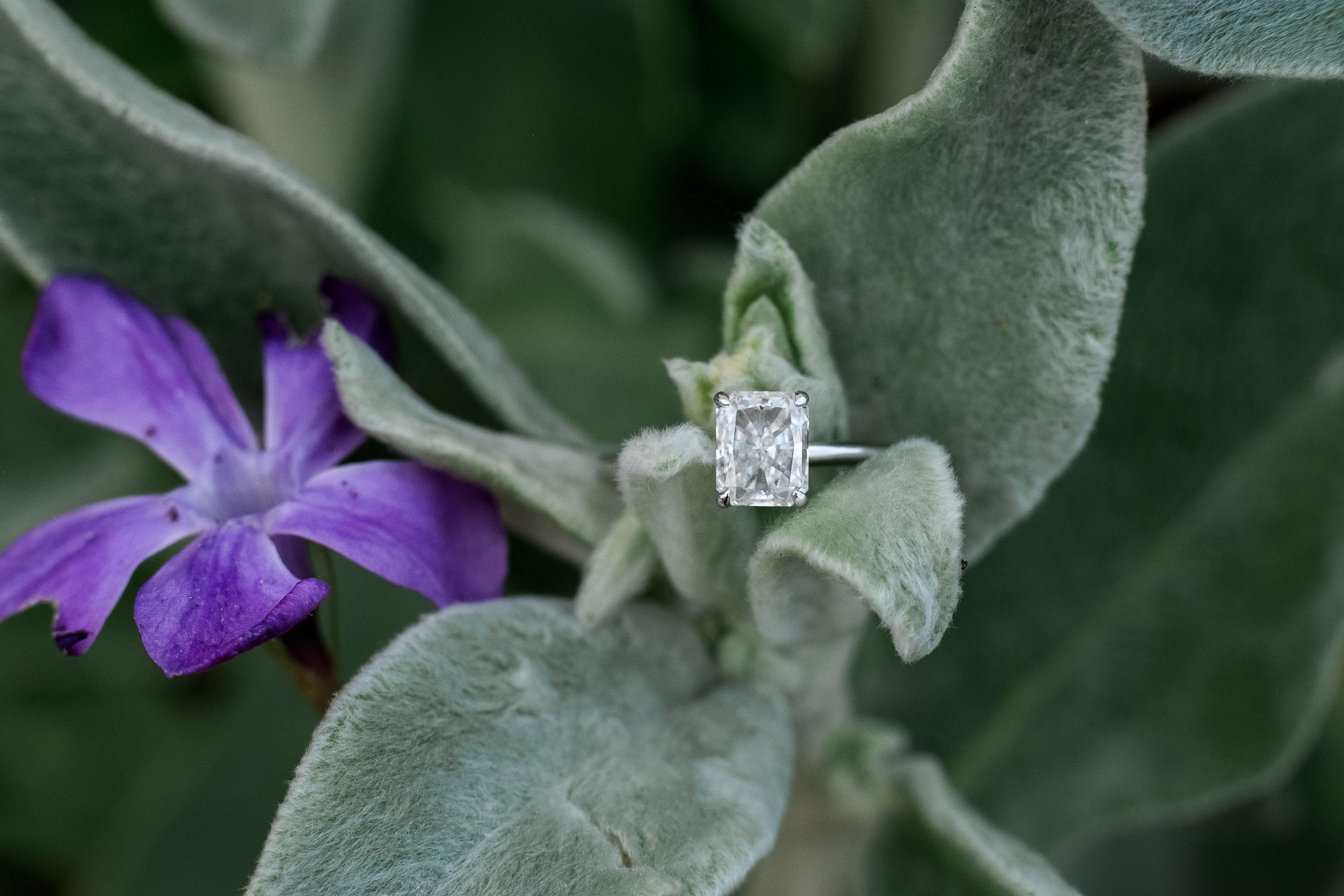 The Wedding Website of Daisy Bowersox and Matthew Young