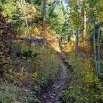 Colorado Trail / Indian Creek Trail Junction
