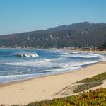 Venice State Beach