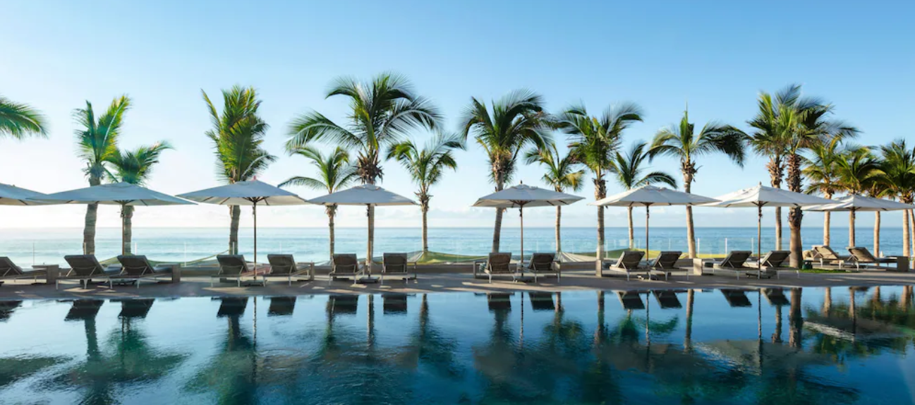 The Wedding Website of Nayef Amhaz and Cassie Holloway