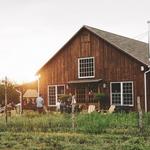 Arrowood Farms Brewery