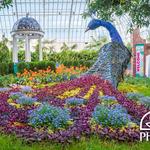 Phipps Conservatory and Botanical Gardens