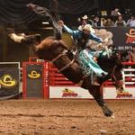 San Antonio Stock Show & Rodeo