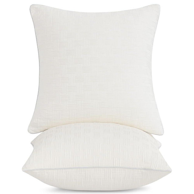 Leeden 24x24 Pillow Inserts Set of 2 - Decorative 24 Inch Throw Pillow Insert, Soft Fluffy Square Throw Pillows for Couch Bed, Beige Couch Pillow Insert Pair