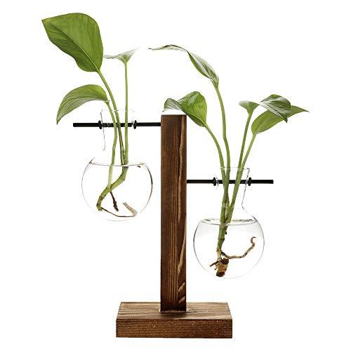 ADSRO Stand Glass Planter Bulb Vase, Glass Flowerpot with Vintage Wood Frame Holder for Hydroponic Plant Family Garden Wedding Decoration - (2 Bulb Vase)