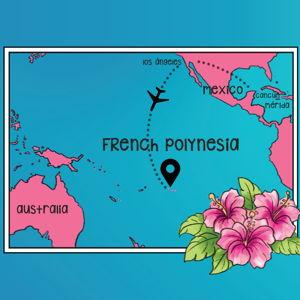 Flights to Paradise (and back)