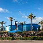 Long Beach Aquarium