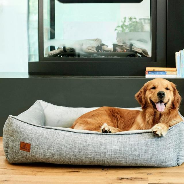 The Buddy Bed - Veterinarian Approved Dog Bed