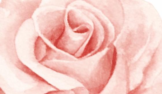 The Wedding Website of Liroan Werba and Jeremy Fields