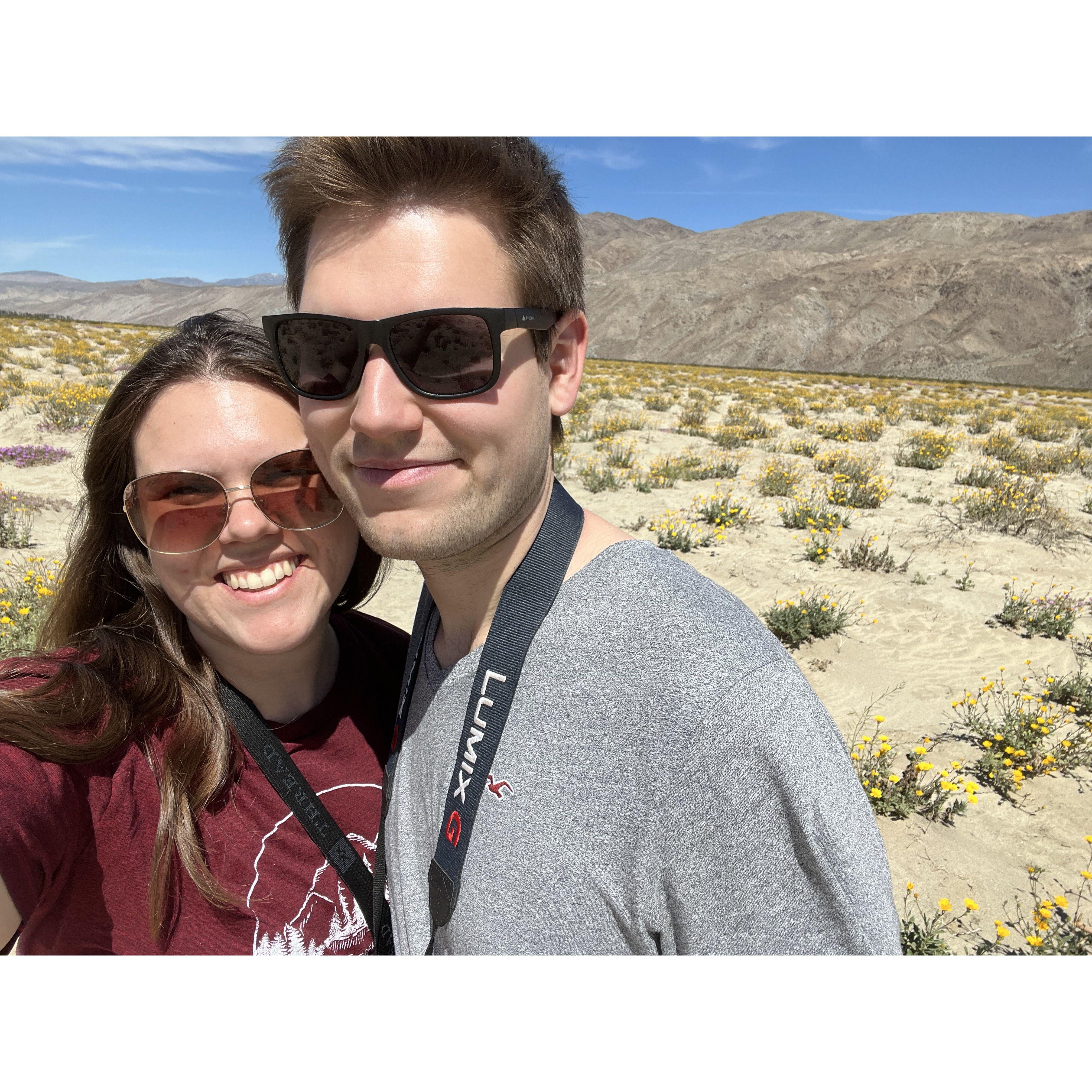 Anza Borego in San Diego, CA March 2023