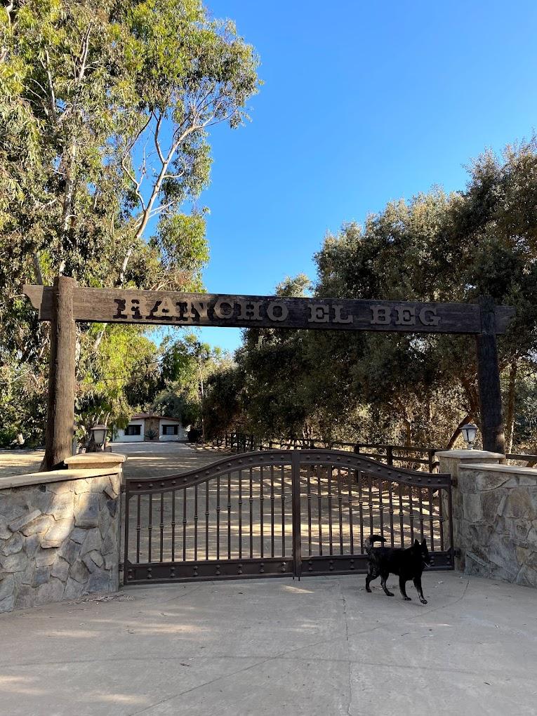 The Wedding Website of Daisy Arroyo and Erick Lara