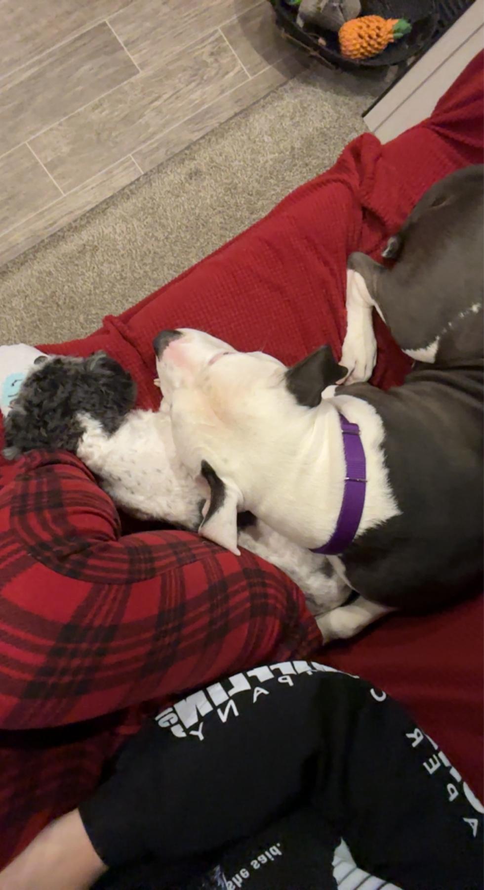 Family cuddles