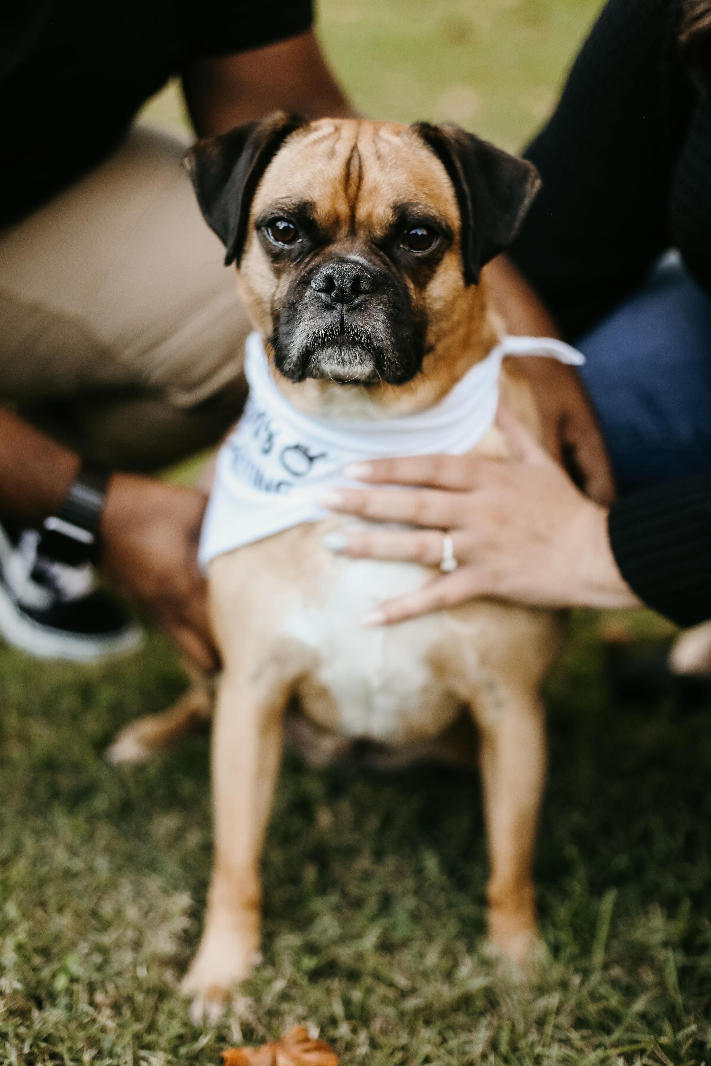 The Wedding Website of Emilee Harmison and Jermaine Jackson Jr.