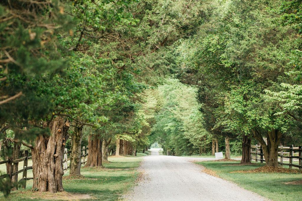 The Wedding Website of Sarah Fitch and Kai Stullich