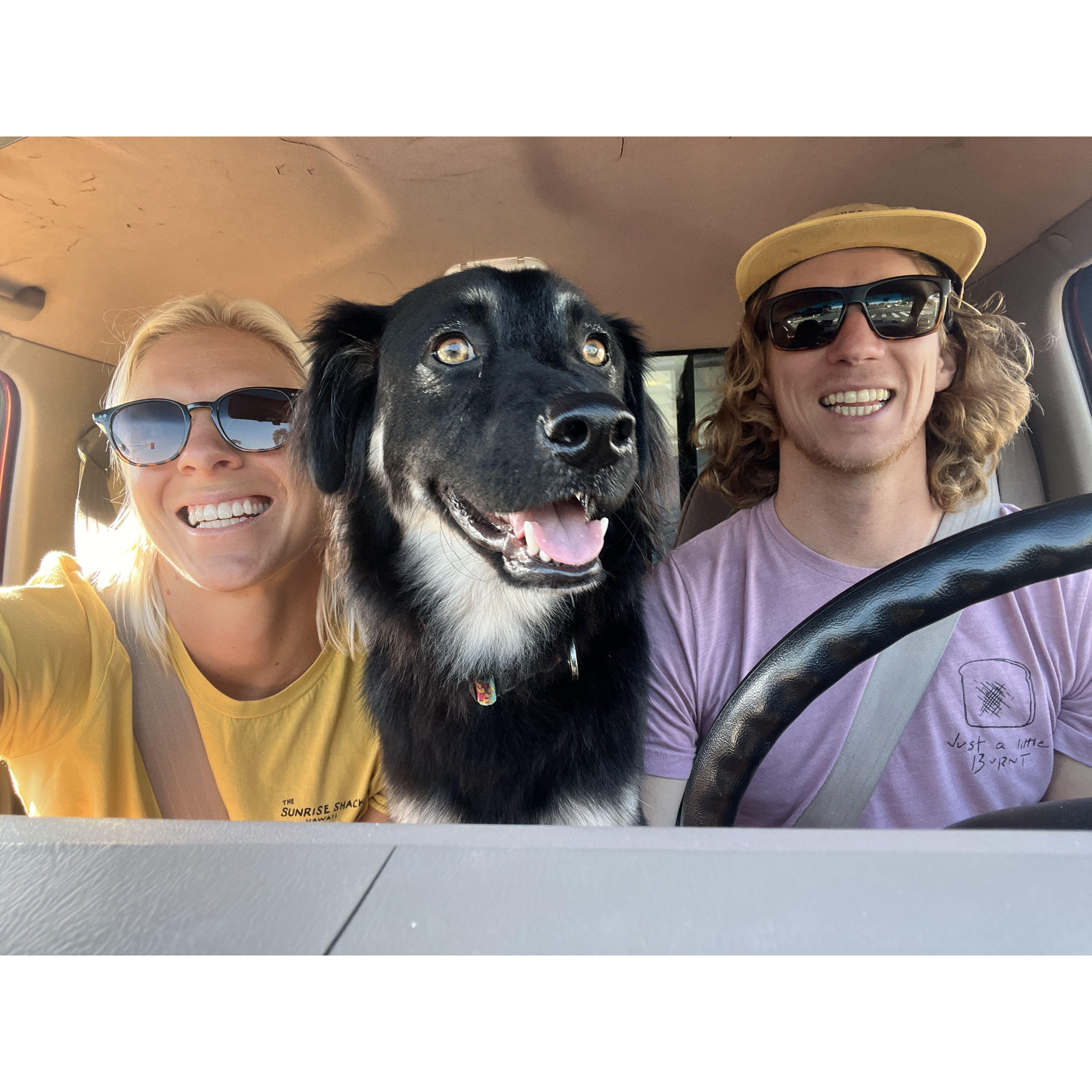 Lola's first road trip!