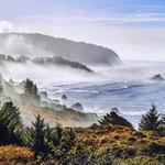 Patricks Point