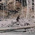 Bigfoot Sightings