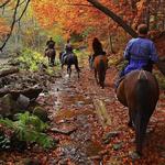 Bushkill Riding Stables