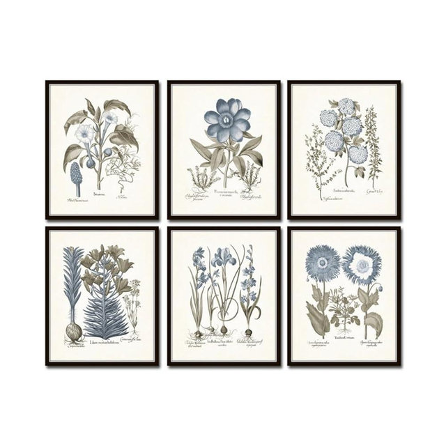 Sepia & Blue Botanical Prints No 6, Wall Decor, Wall Art, Bedroom Decor, Kitchen Wall Decor, Botanical Wall Decor, Vintage Decor (5X7 SET OF 6, PAPER PRINTS - UNFRAMED, SEPIA BLUE 6)