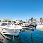 Fishing & Boating Charters