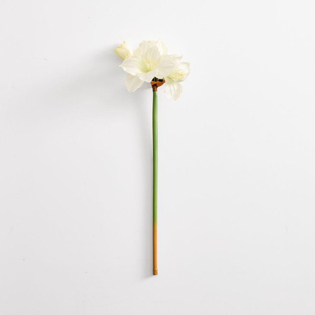 Faux Amaryllis Stem White