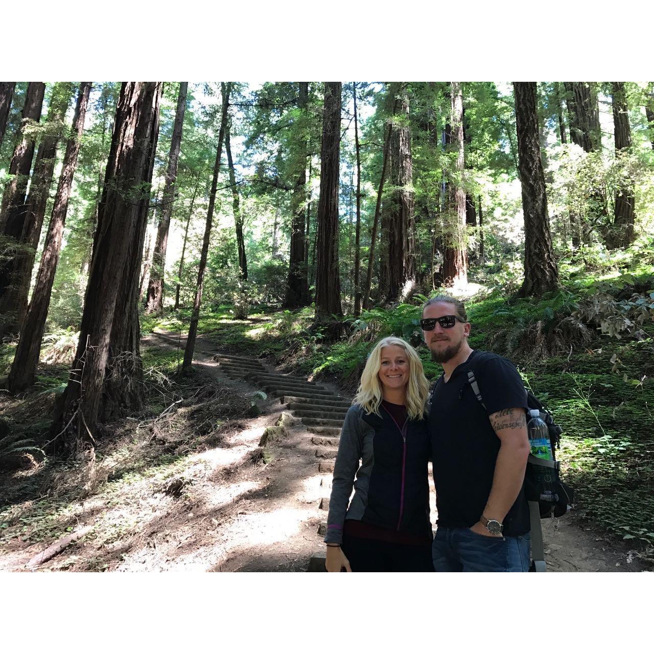 Redwood Forest, San Francisco, July 2017 to visit Courtney and Hatch.