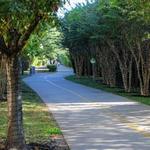 Katy Trail (Dallas)