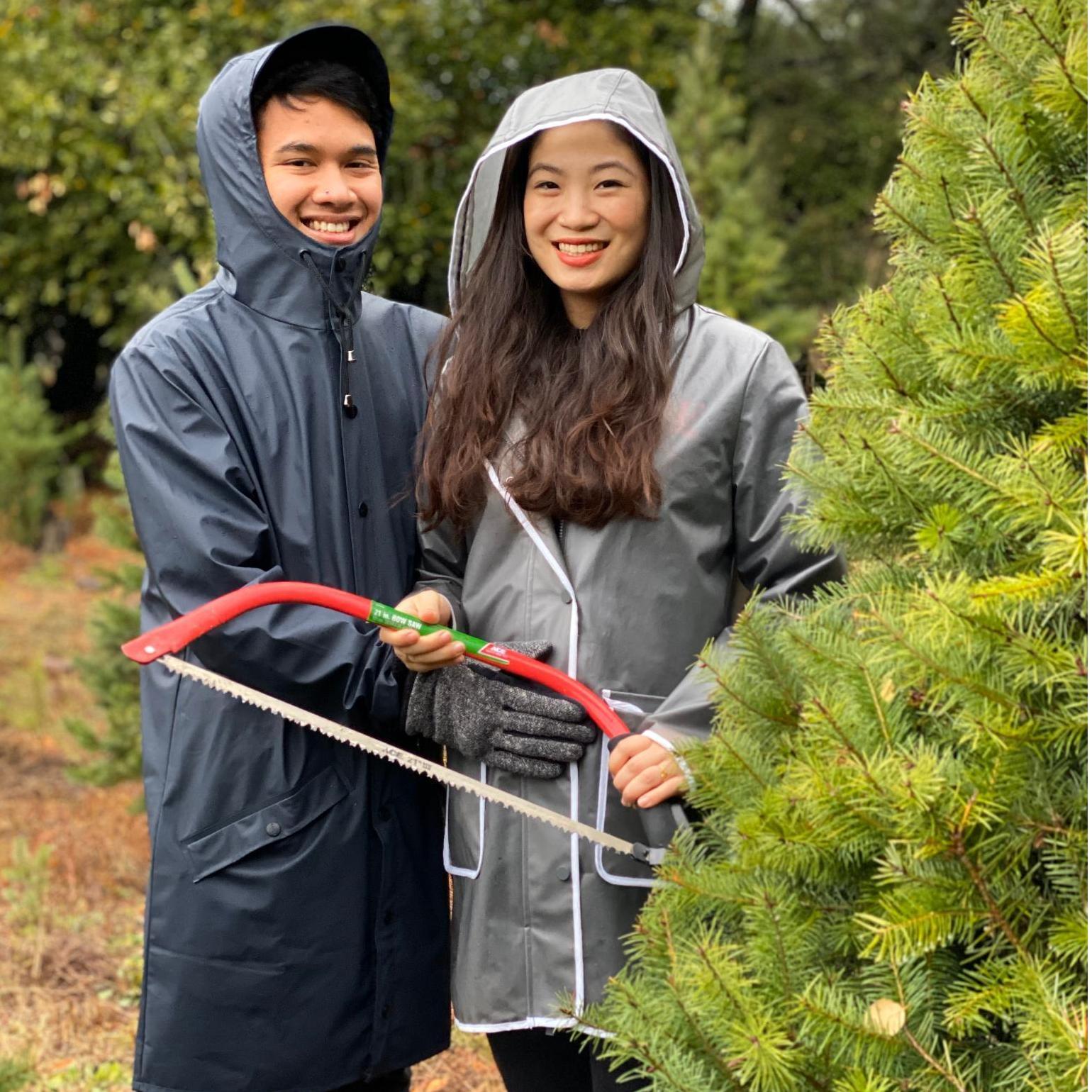 Christmas tree cutting, 2019.  We're probably going to stick with a fake Costco tree...