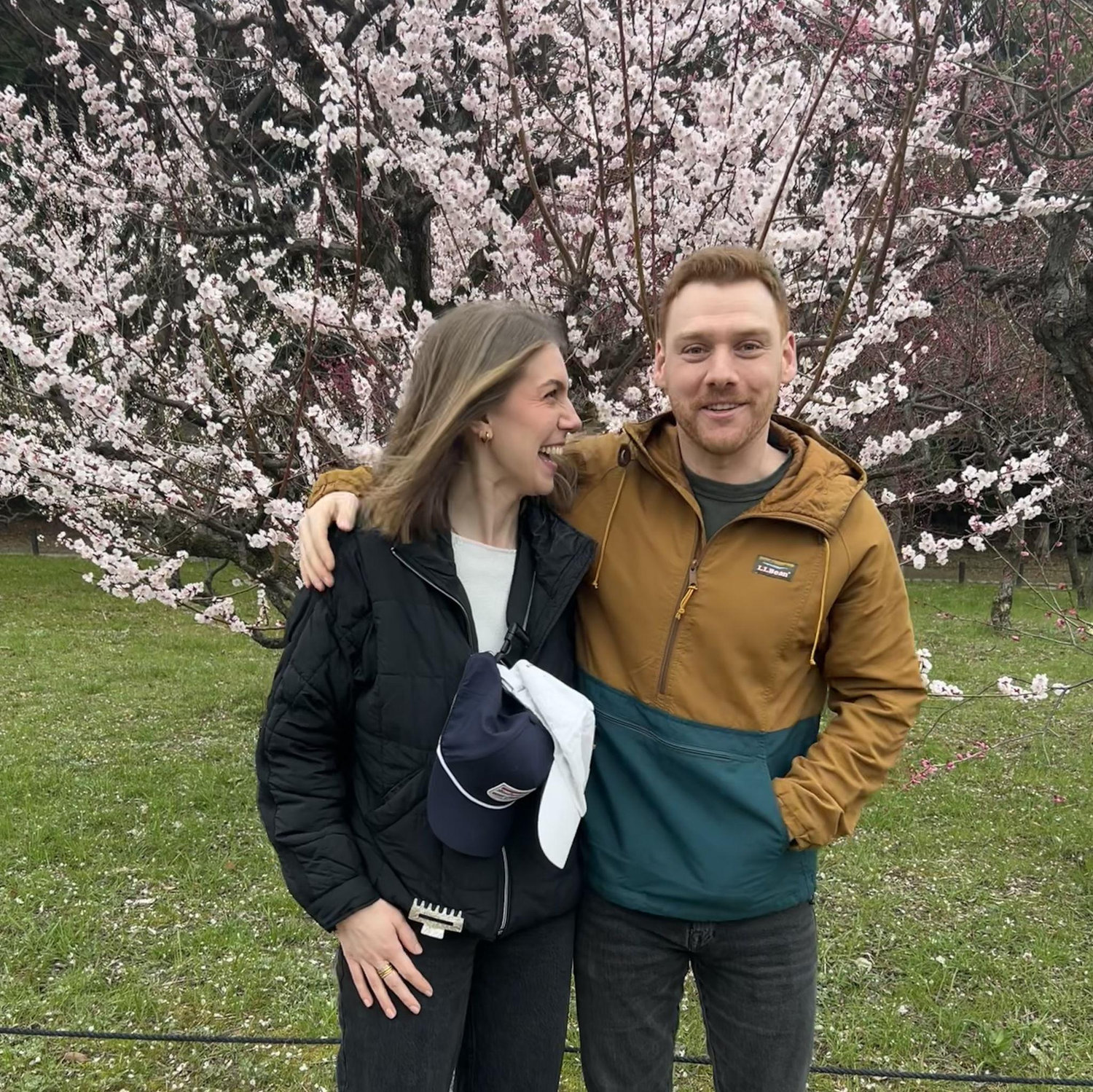 cherry blossoms in Osaka