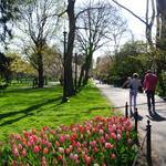 Boston Public Garden