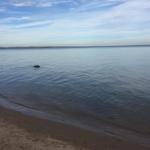 Grand Traverse Lighthouse