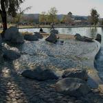 Temecula Duck Pond