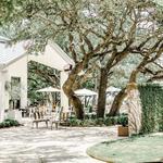 Signor Vineyards