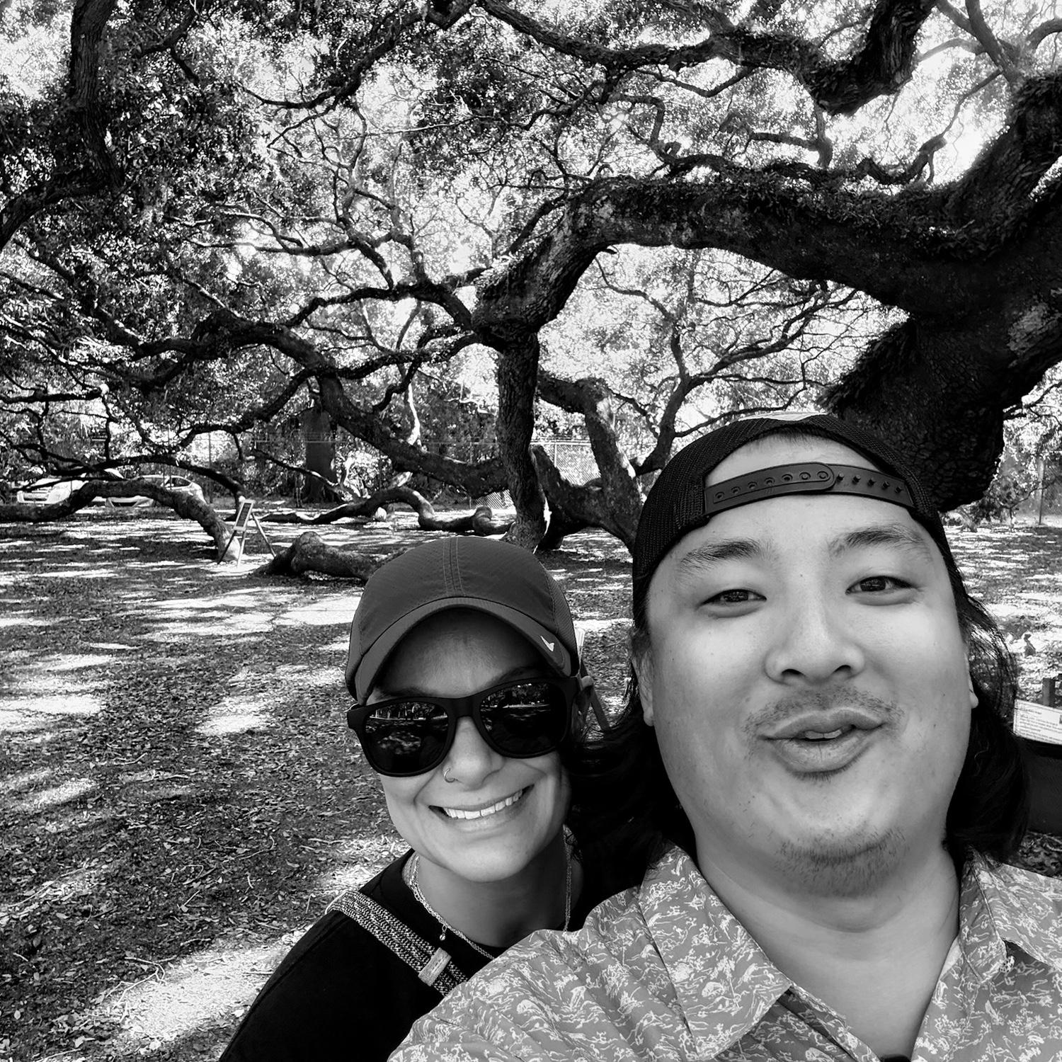 Angel Oak Tree