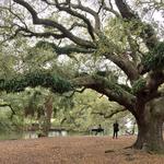 Audubon Park