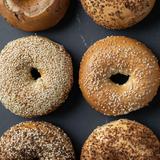 Steingold’s Bagels & Nosh