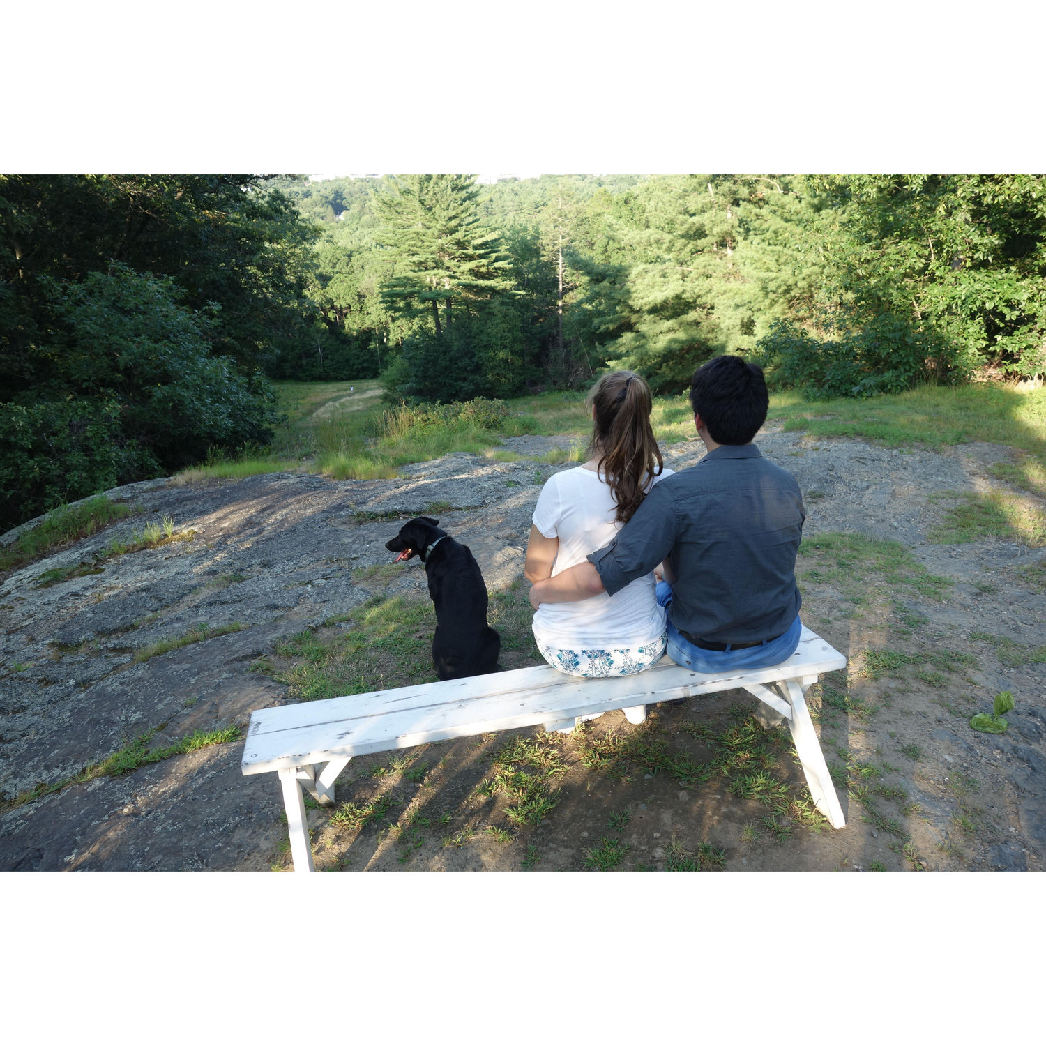 Cat Rock with Moxie