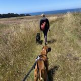Mendocino Land Trust Trails & Hikes