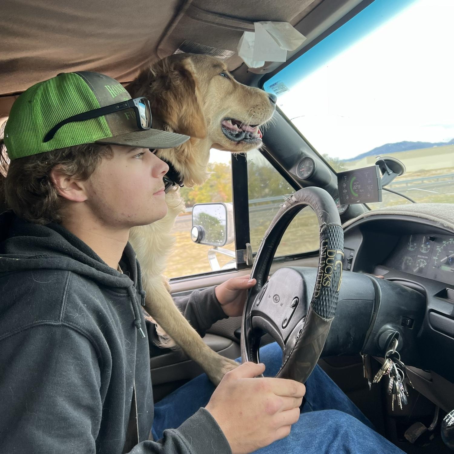 Every driver needs a co pilot like Bo ;)