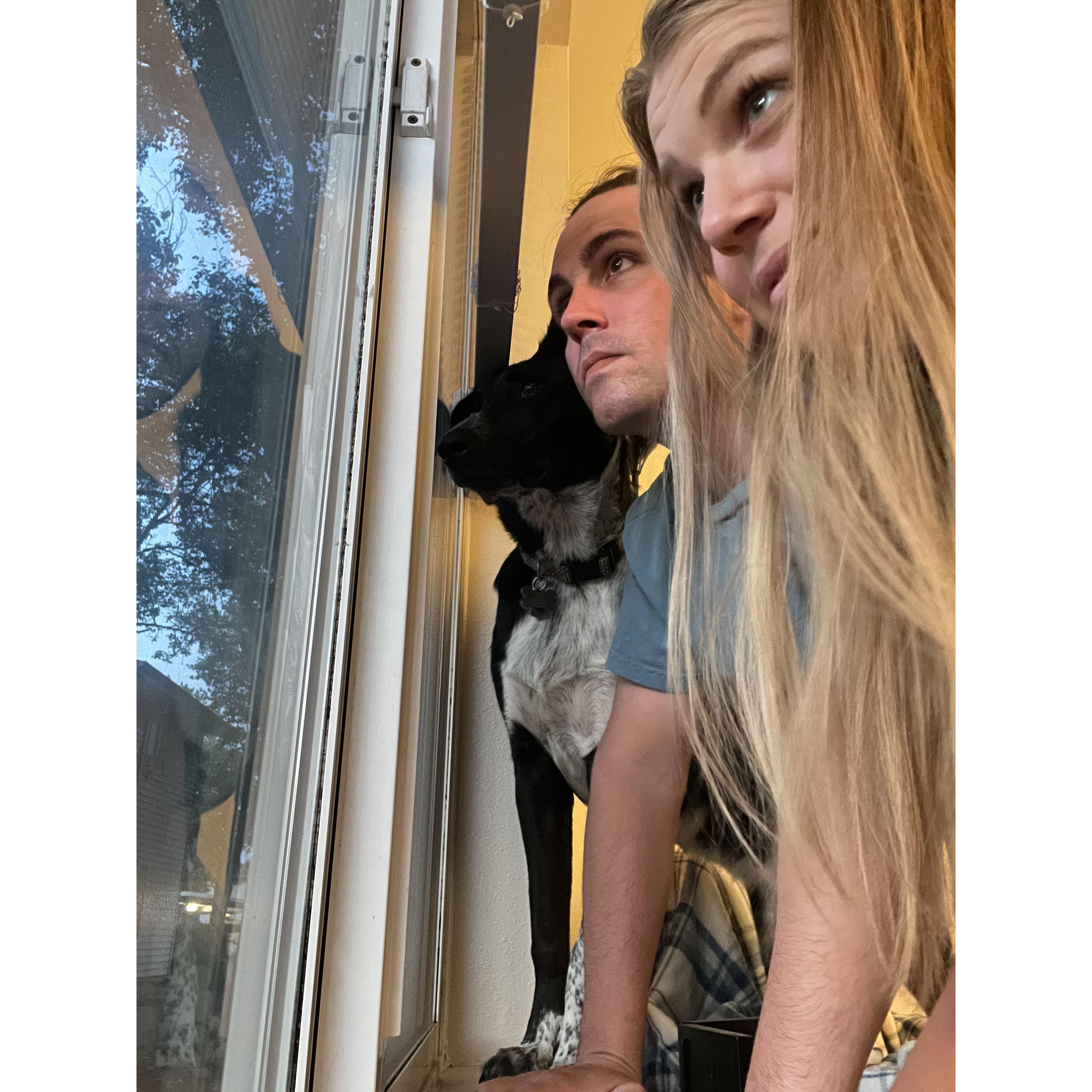 Early in our days as dog parents... joining Kevin in being ever vigilant and keeping watch of all the activities outside.