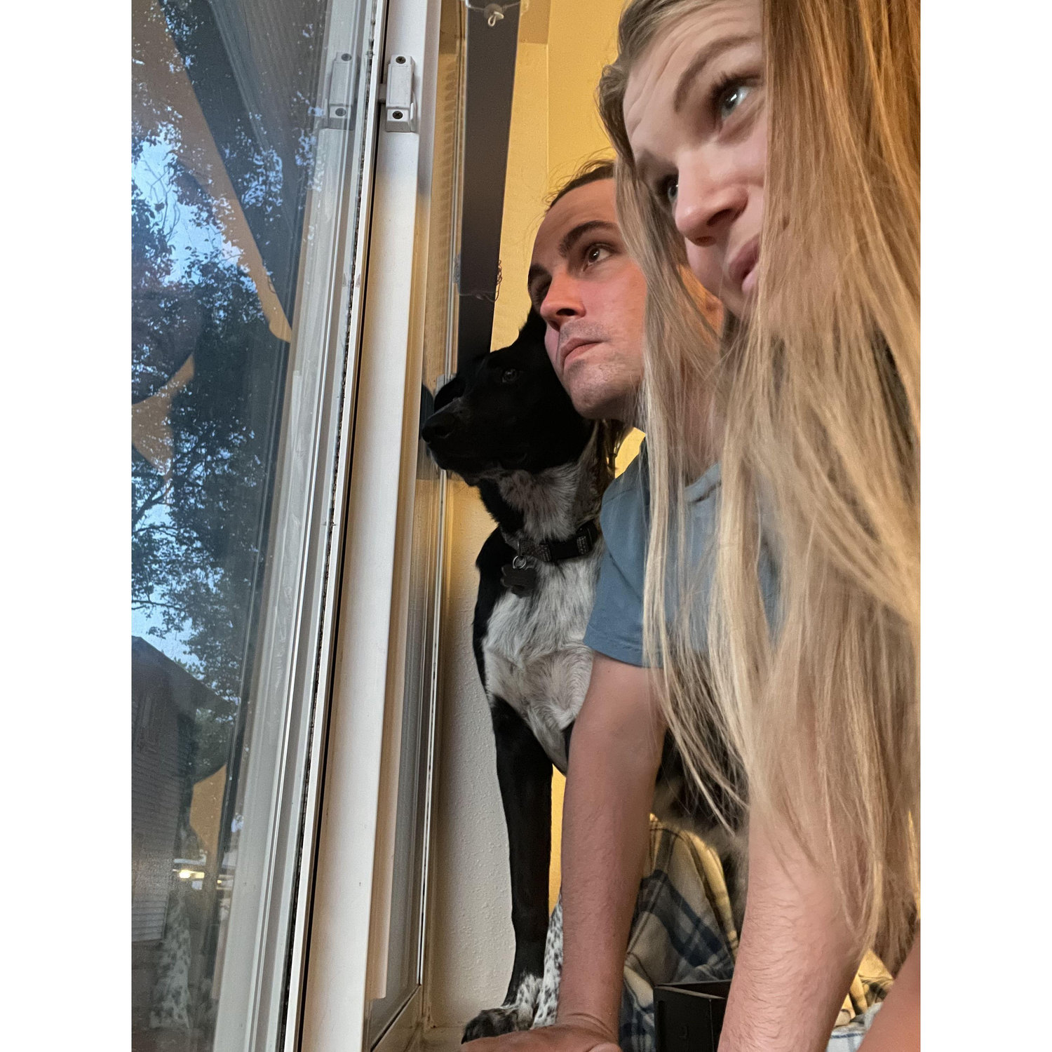 Early in our days as dog parents... joining Kevin in being ever vigilant and keeping watch of all the activities outside.