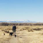 Cherry Creek Reservoir