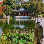 The Huntington Library, Art Museum, and Botanical Gardens