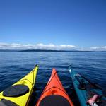 Bodega Bay Kayak