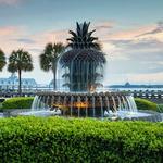 Pineapple Fountain