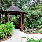 Kanapaha Botanical Gardens