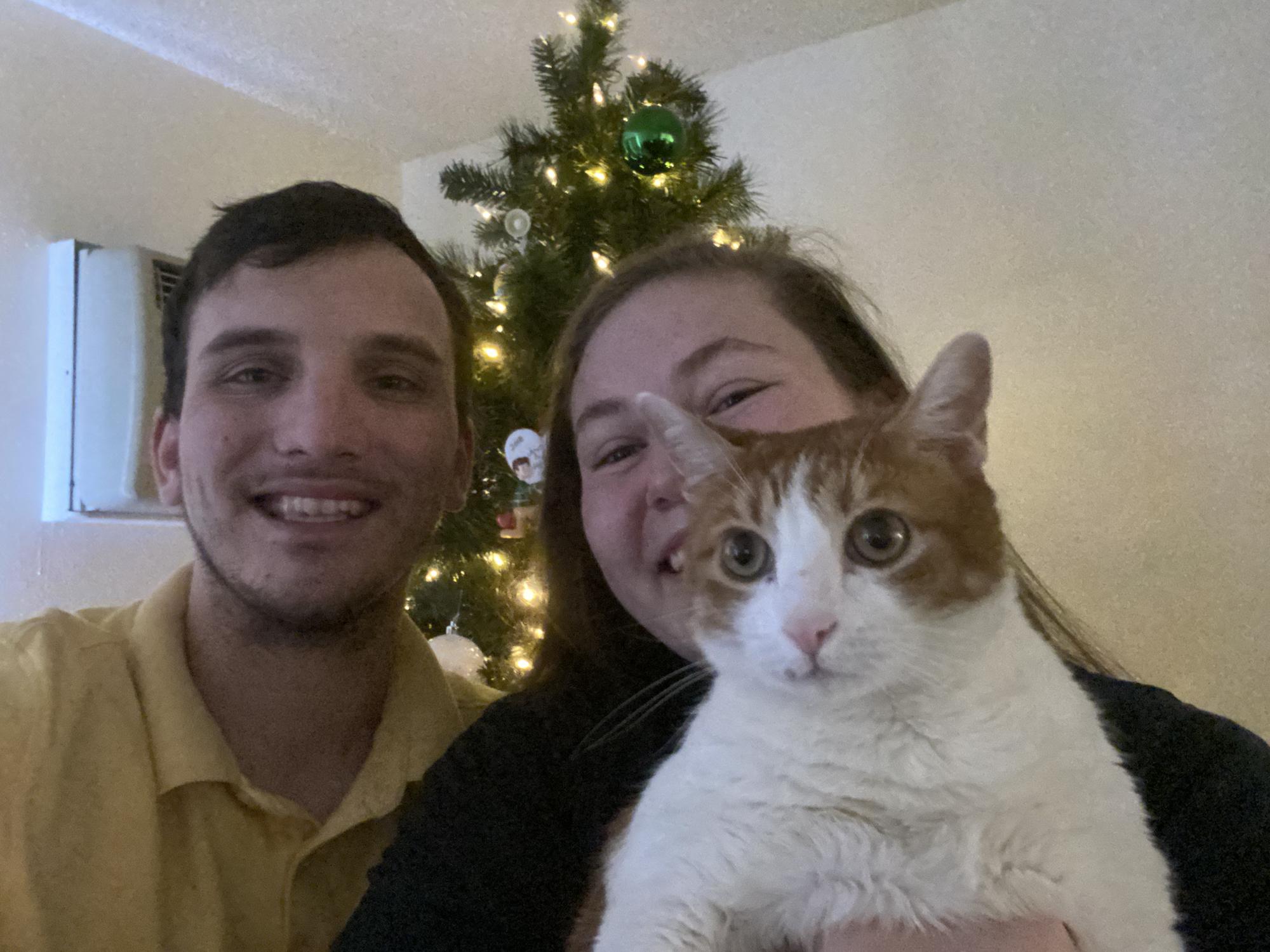Our first Christmas tree so our first Christmas card with Simba, 2020!