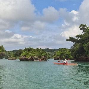 Mangrove Kayaking Experience